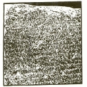 bilingual-greek-aramaic-inscription-of-ashoka-3rd-century-bc