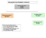 Division among the Syro Malabar after the Coonan Cross